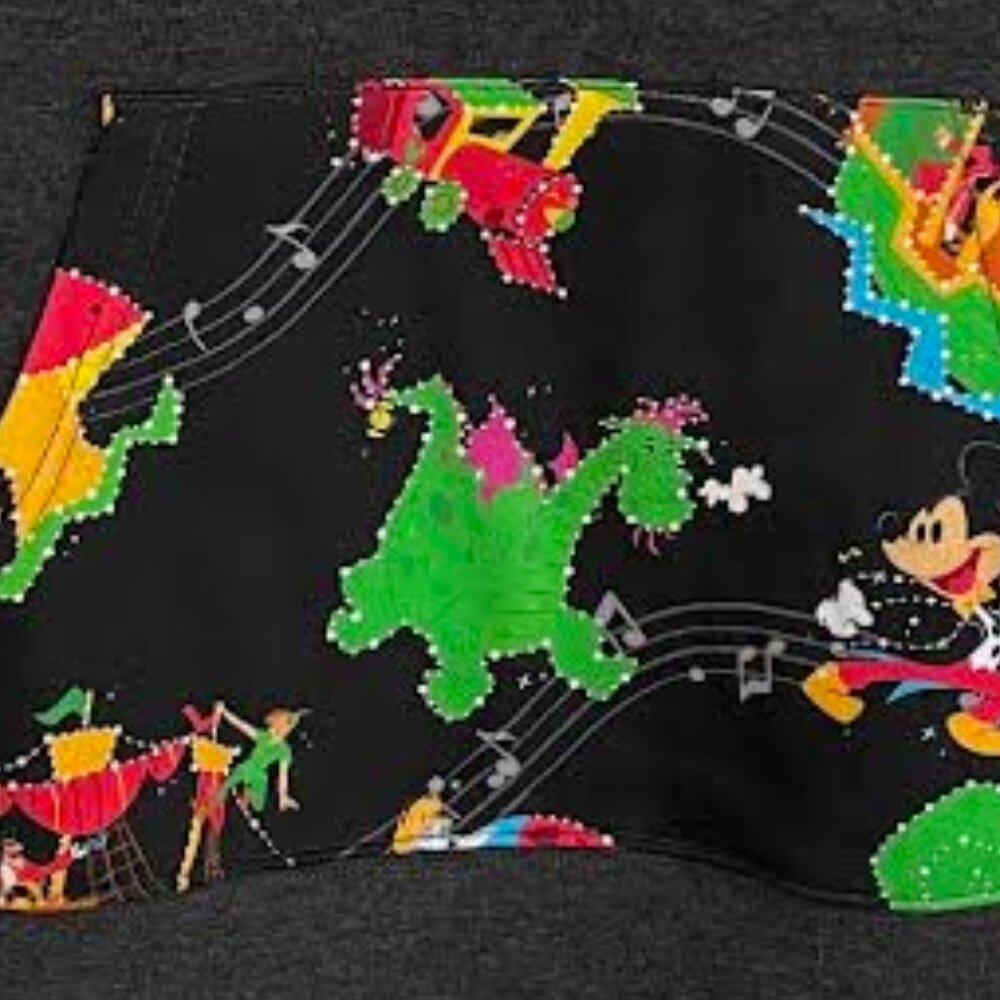 NWT Disney Parks "Main Street Electrical Parade" Quarter-Zip Hoodie